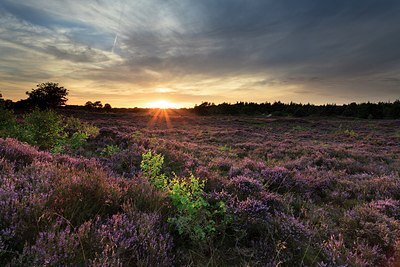 BUITEN BEELD Foto: 179595