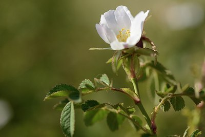 BUITEN BEELD Foto: 179603