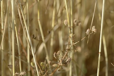 BUITEN BEELD Foto: 179632