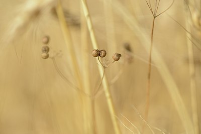 BUITEN BEELD Foto: 179640