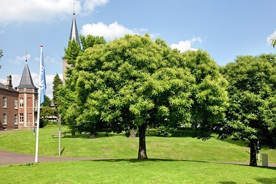 BUITEN BEELD Foto: 179645