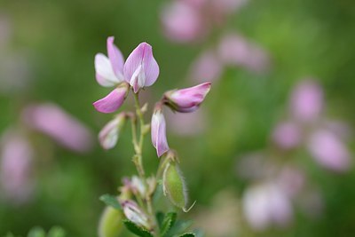 BUITEN BEELD Foto: 179686