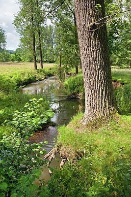 BUITEN BEELD Foto: 179689