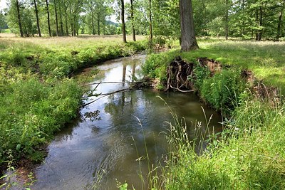 BUITEN BEELD Foto: 179690