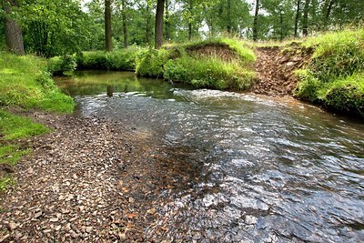 BUITEN BEELD Foto: 179691