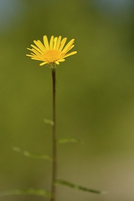 BUITEN BEELD Foto: 179712