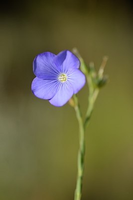 BUITEN BEELD Foto: 179719