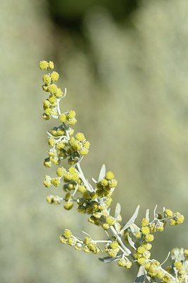 BUITEN BEELD Foto: 179727