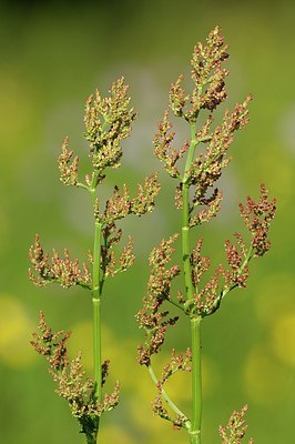 BUITEN BEELD Foto: 179838