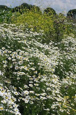 BUITEN BEELD Foto: 179843