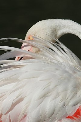 BUITEN BEELD Foto: 179844