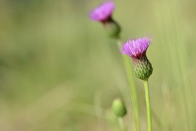 BUITEN BEELD Foto: 179932