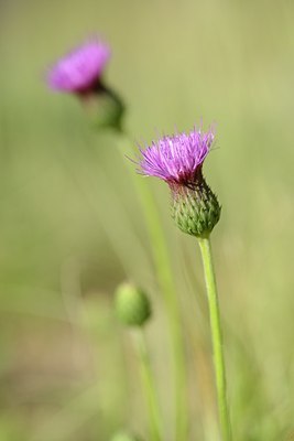 BUITEN BEELD Foto: 179935