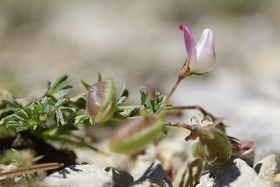 BUITEN BEELD Foto: 179952