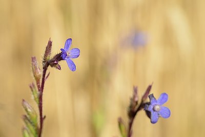 BUITEN BEELD Foto: 179956