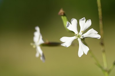 BUITEN BEELD Foto: 179959