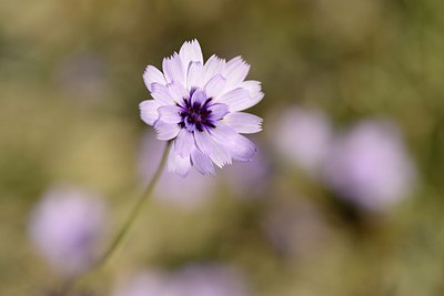 BUITEN BEELD Foto: 179968