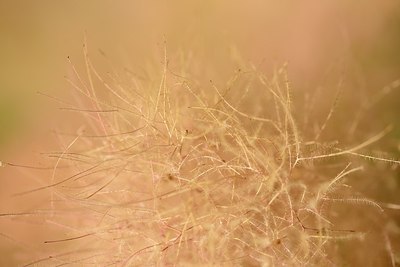 BUITEN BEELD Foto: 179972