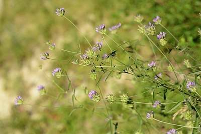 BUITEN BEELD Foto: 179984