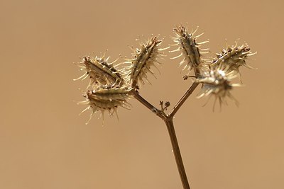 BUITEN BEELD Foto: 180001