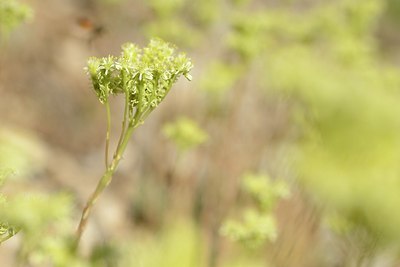 BUITEN BEELD Foto: 180003