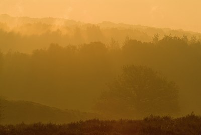 BUITEN BEELD Foto: 180028