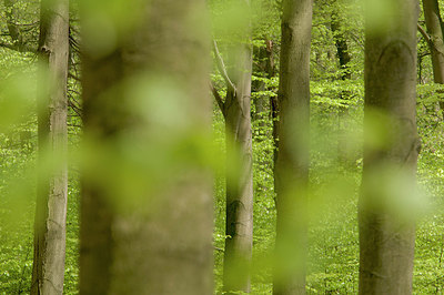 BUITEN BEELD Foto: 180064