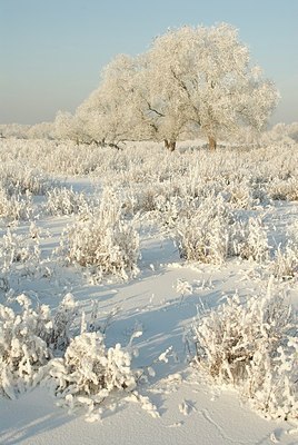 BUITEN BEELD Foto: 180074