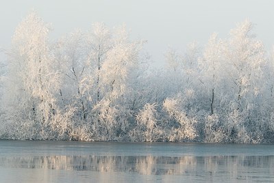 BUITEN BEELD Foto: 180076