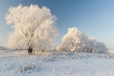 BUITEN BEELD Foto: 180079