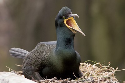 BUITEN BEELD Foto: 180088