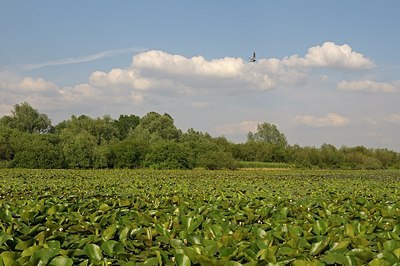 BUITEN BEELD Foto: 180171