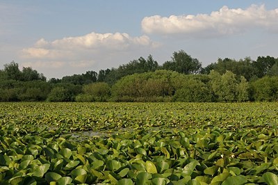 BUITEN BEELD Foto: 180173