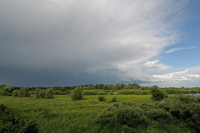 BUITEN BEELD Foto: 180180