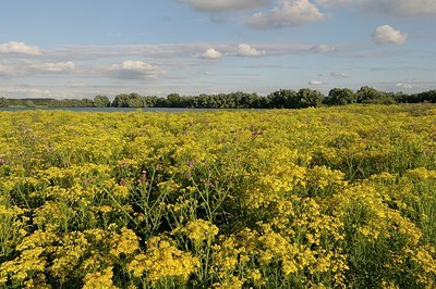 BUITEN BEELD Foto: 180185