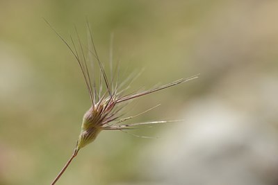 BUITEN BEELD Foto: 180221