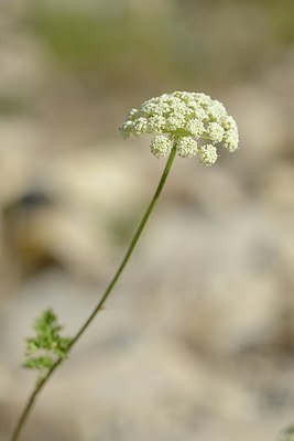 BUITEN BEELD Foto: 180235