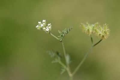 BUITEN BEELD Foto: 180237