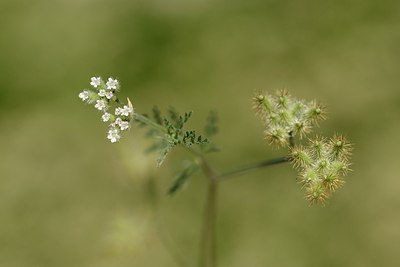 BUITEN BEELD Foto: 180238