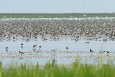 BUITEN BEELD Foto: 180259