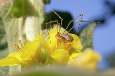 BUITEN BEELD Foto: 180275