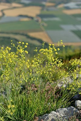 BUITEN BEELD Foto: 180287