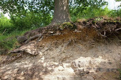 BUITEN BEELD Foto: 180297