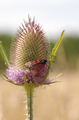 BUITEN BEELD Foto: 180329