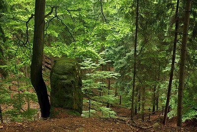BUITEN BEELD Foto: 180331
