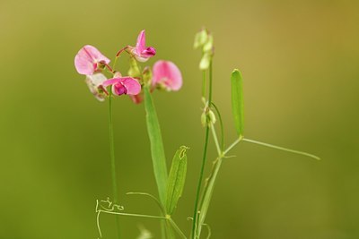 BUITEN BEELD Foto: 180397