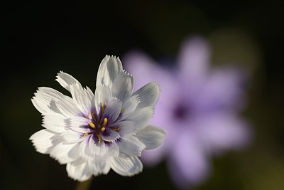 BUITEN BEELD Foto: 180426