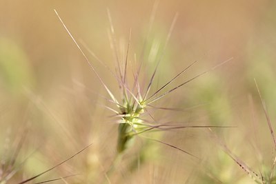 BUITEN BEELD Foto: 180428