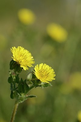 BUITEN BEELD Foto: 180443
