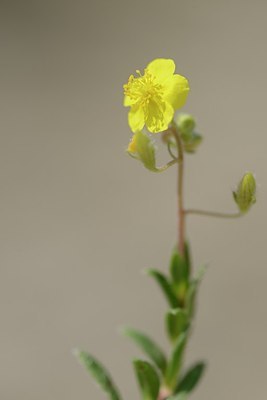 BUITEN BEELD Foto: 180462